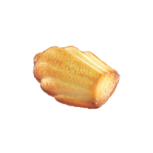 Moule silicone 44 madeleines dimension 77x44 hauteur 18mm plaque 60x40