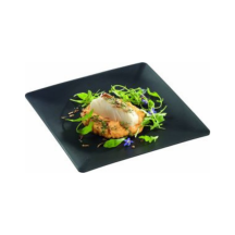 Assiette carrée noire dimension 250x250 mm hauteur 18 mm paquet de 10 pièces