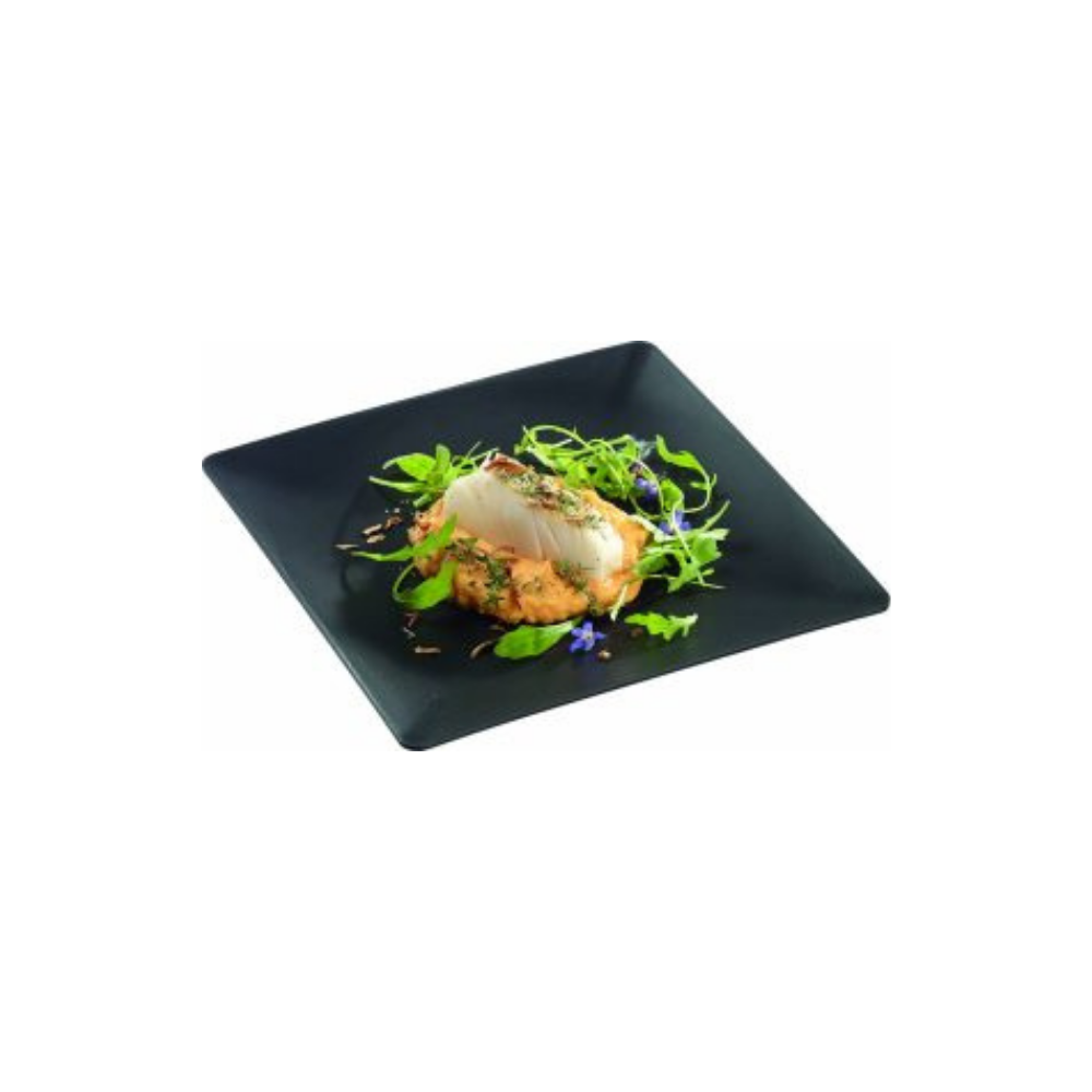 Assiette carrée noire dimension 250x250 mm hauteur 18 mm paquet de 10 pièces